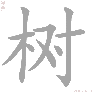 树 shù - 汉典