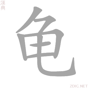 龟的解释|龟的意思|汉典“龟”字的基本解释